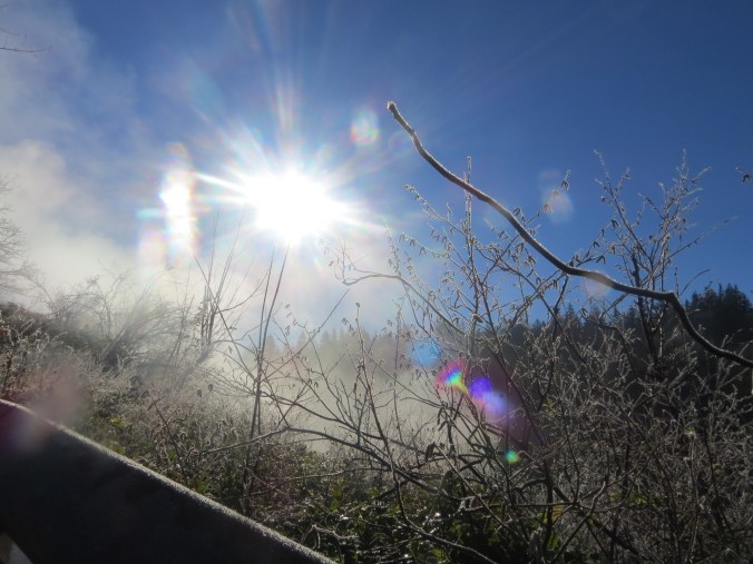 Morning frost ~ Snoqualmie Falls 2015